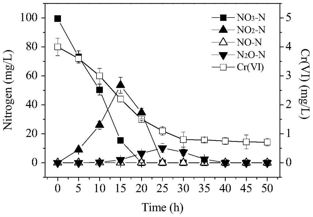 Achromobacter strain with hexavalent chromium removal and aerobic denitrification performance and its application