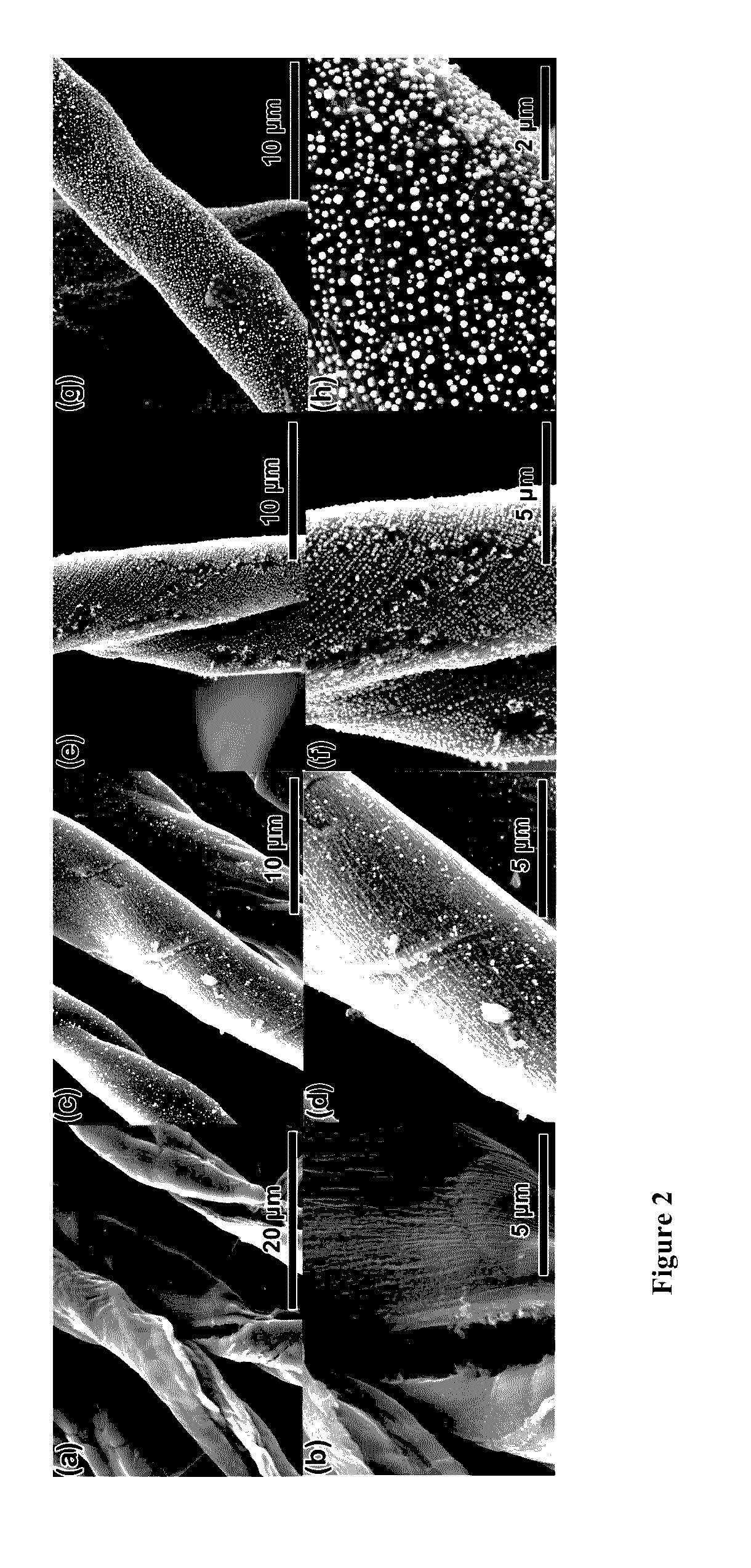 Process of forming electrodes and products thereof from biomass
