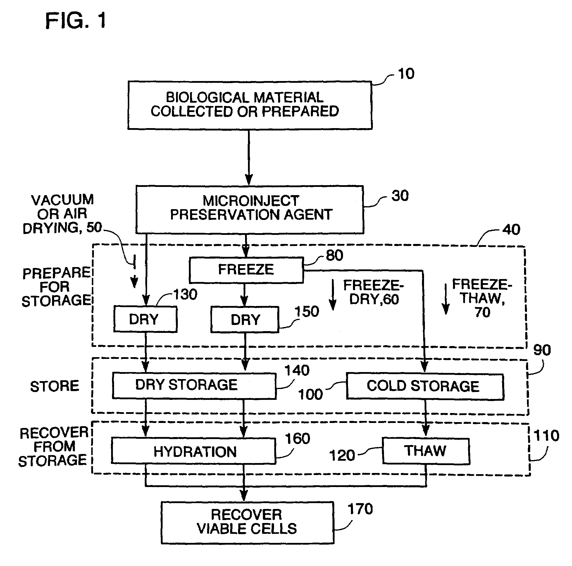 Microinjection of cryoprotectants for preservation of cells