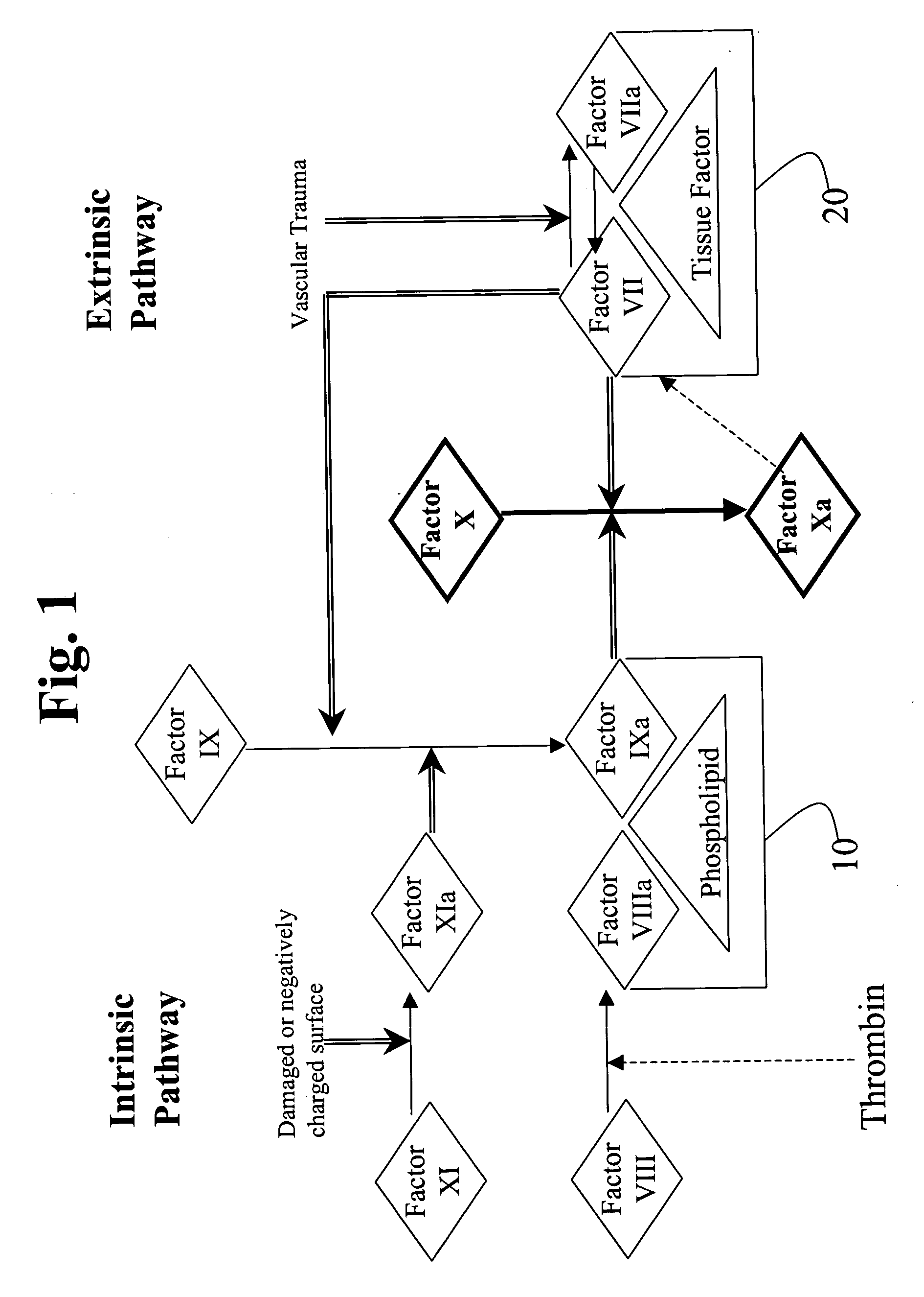 Aryl and heteroaryl compounds, compositions, and methods of use