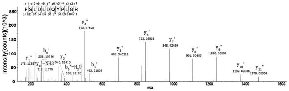 Quantitative detection method of hpv l1 protein