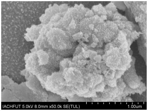 Preparation and application of polymer carrier coated transition metal doped molybdenum sulfide nanoparticle composite catalytic material