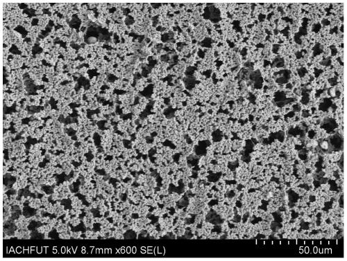 Preparation and application of polymer carrier coated transition metal doped molybdenum sulfide nanoparticle composite catalytic material