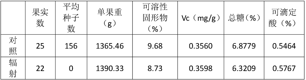 A method for producing seedless pomelo through pollen radiation mutagenesis