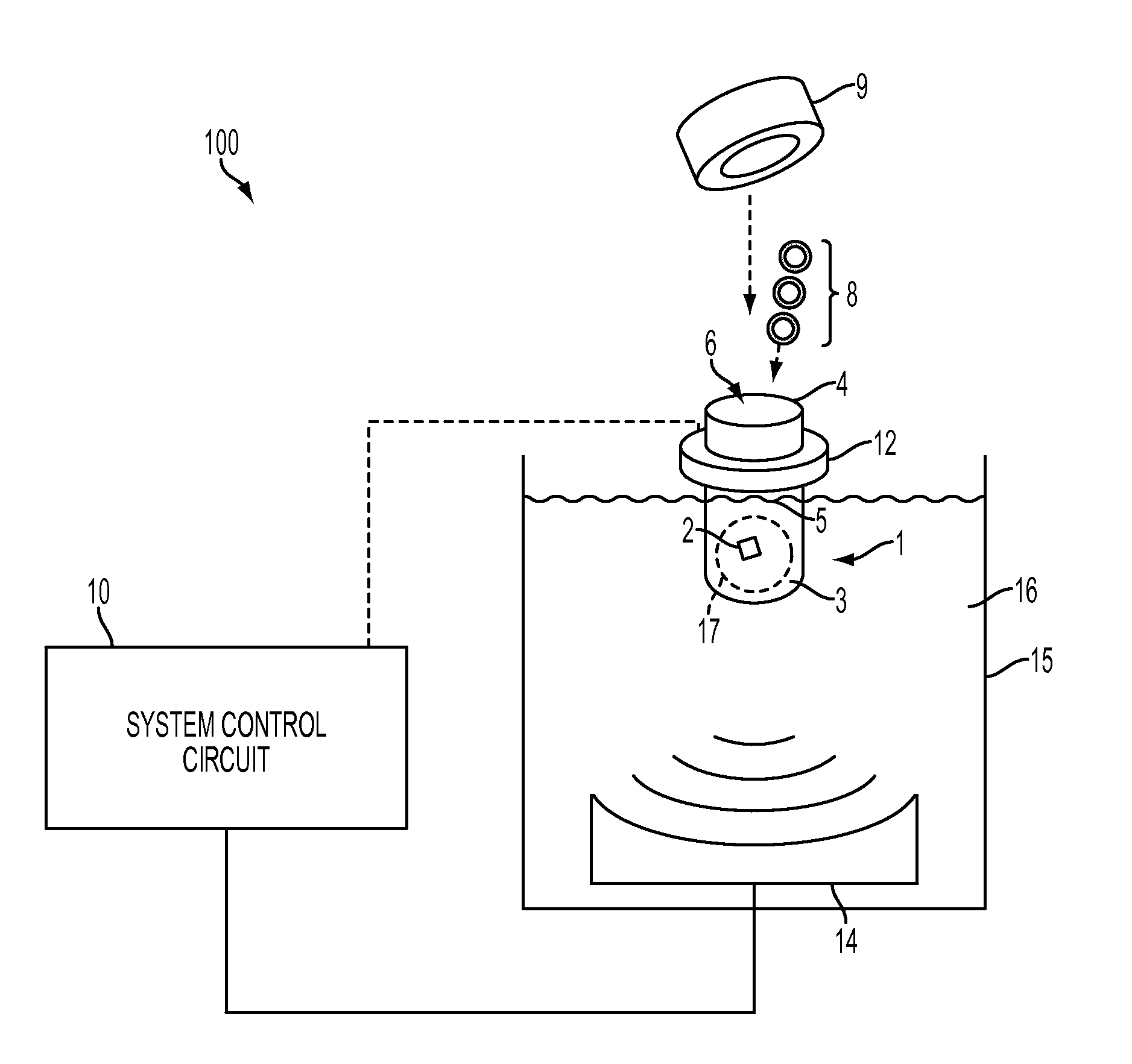 Method and apparatus for shearing of genomic material using acoustic processing