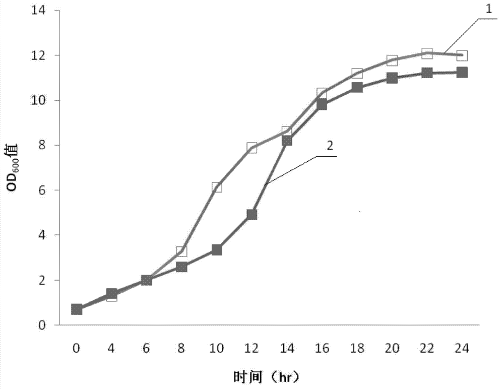 Bacterium for fermenting L-tryptophan from mixed saccharum and fermentation method thereof