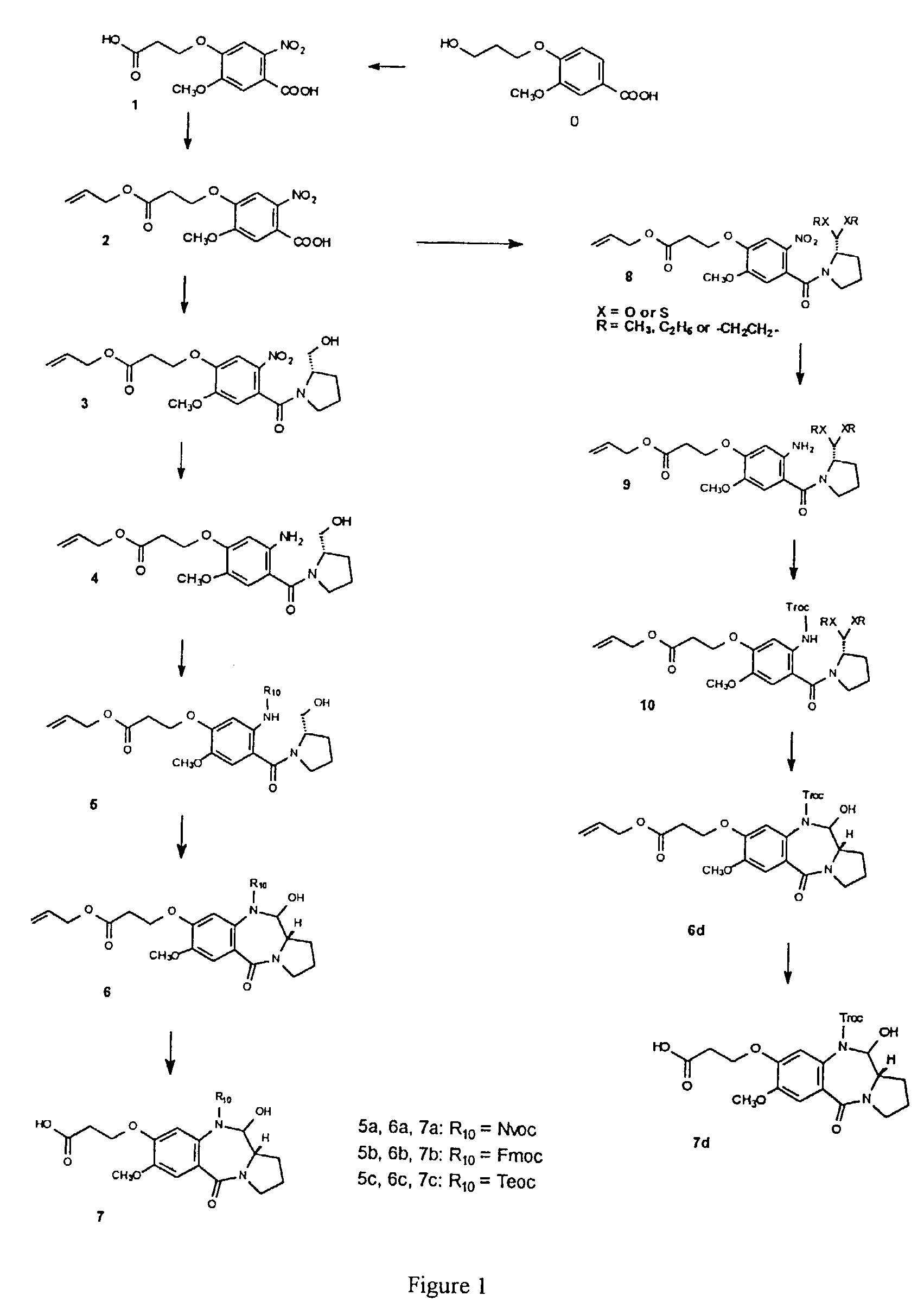 Library of compounds comprising pyrrolobenzodiazepine moieties