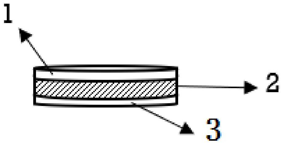 Terahertz spectroscopy system, vitamin D detection method, sample and sample preparation method