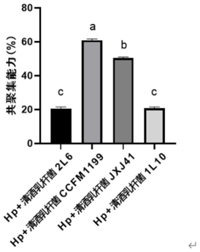 Lactobacillus sake capable of being co-aggregated with helicobacter pylori and application of lactobacillus sake