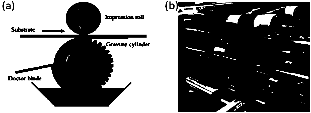 Method for preparing electrode of supercapacitor based on reel-to-reel printing technique