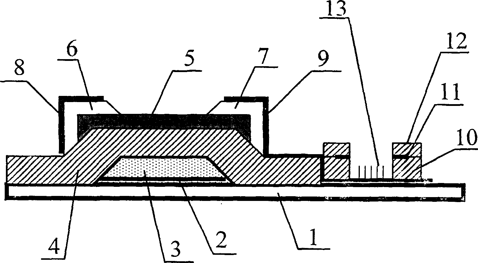 Inverted misarrangement type ballast structural panel display device and its production technique