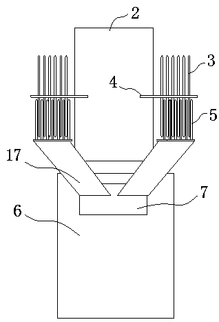 Combination removal apparatus of water lettuce