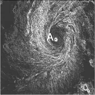 Typhoon center positioning method based on wind stress disturbance