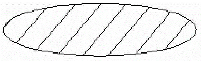 Special-shaped glass fiber and preparation method thereof