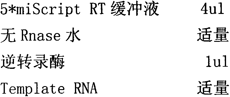 Application of miR-17, miR-20a, miR-29c and miR-223 as nasopharyngeal carcinoma molecular markers