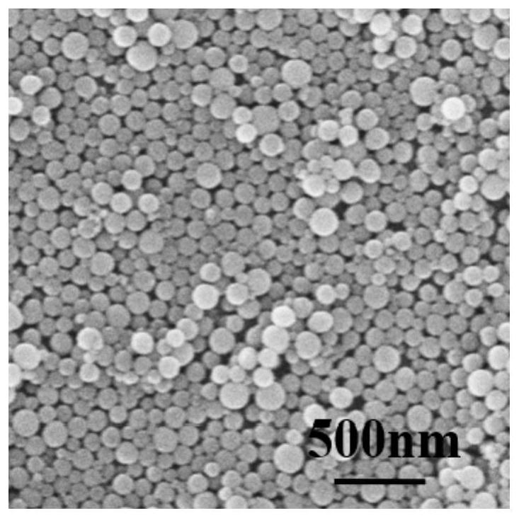 A preparation method of near-infrared responsive nanocages and its application in combined tumor immunotherapy