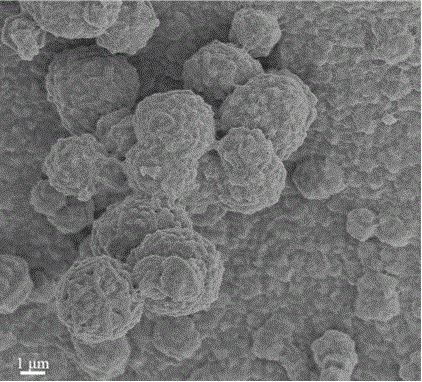 NiSe porous nanosphere material used for super capacitor and preparation method thereof