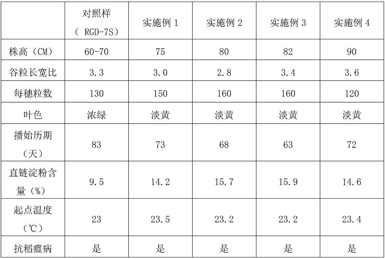 Selection method for two-line sterile line of anti-disease and stable-fertility light-leaf rice