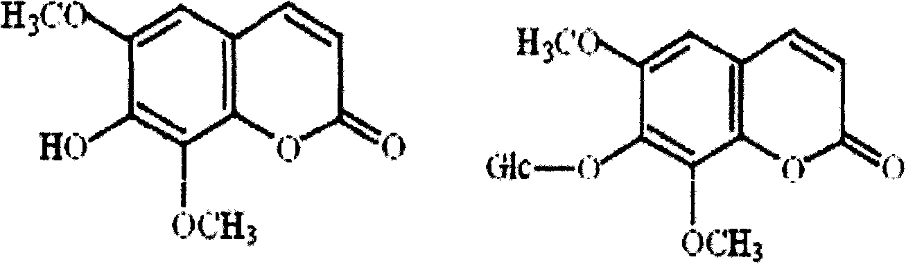 Method for extracting isofraxidin