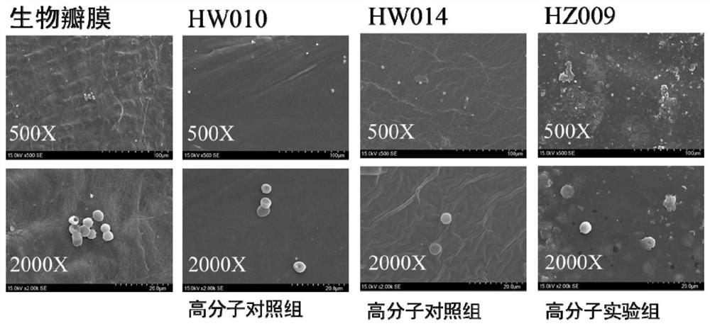 Application of hydrogenated styrene thermoplastic elastomers in preparation of artificial heart valves