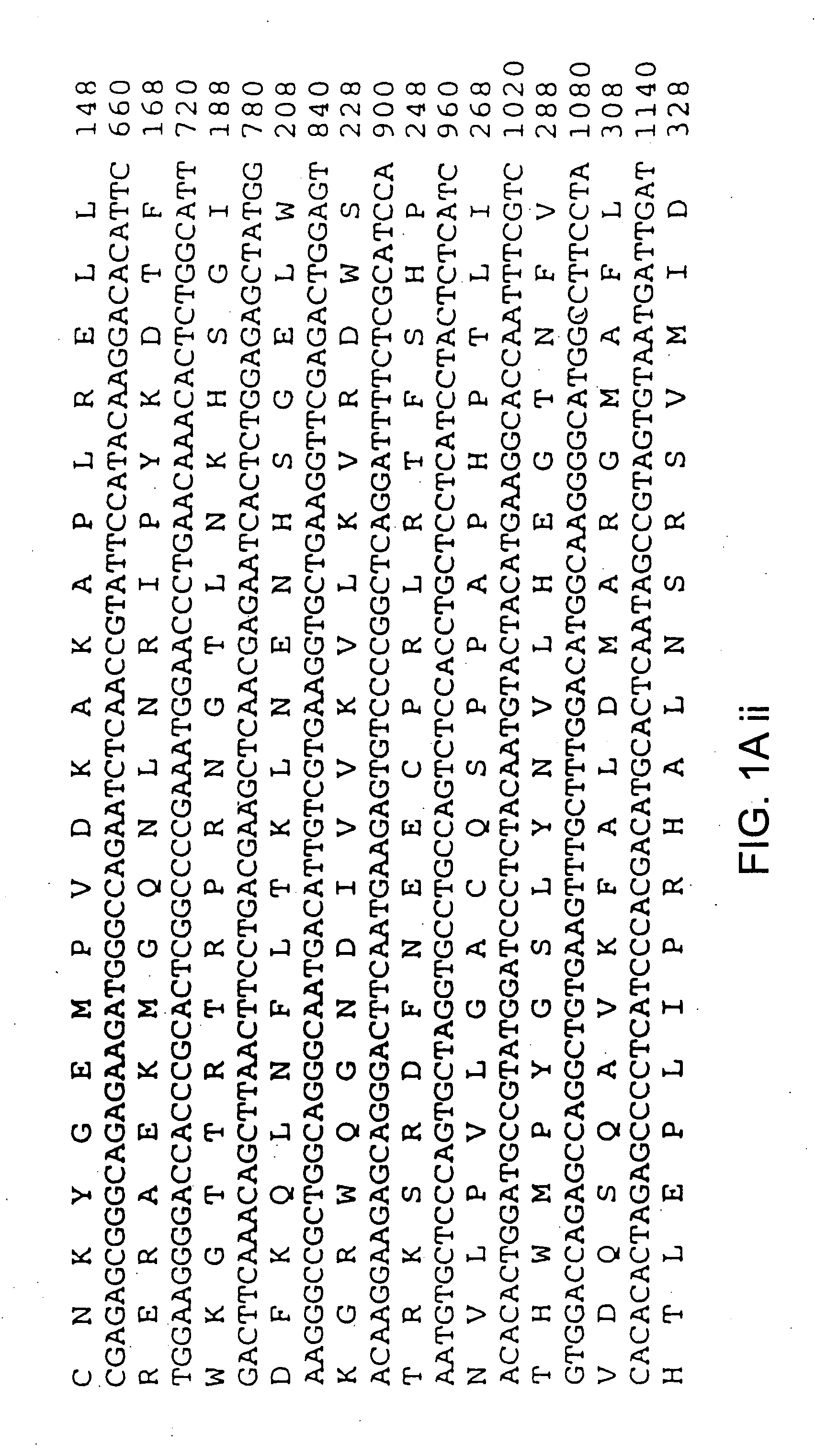 Integrin-linked kinase and its uses