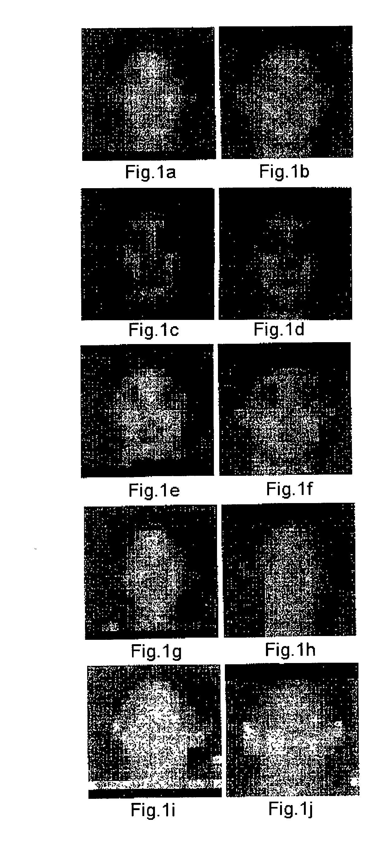 Method and apparatus for coding and decoding image data