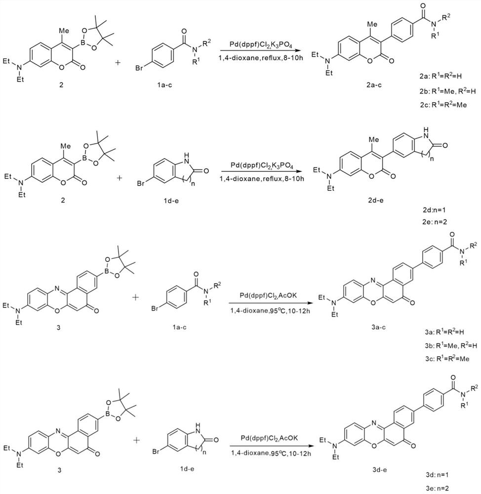 Amide derivative neutral mitochondrial fluorescent marker and its preparation method and application