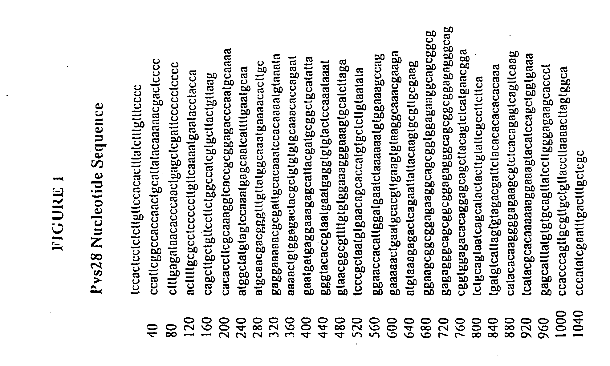 Vaccines for blocking transmission of plasmodium vivax