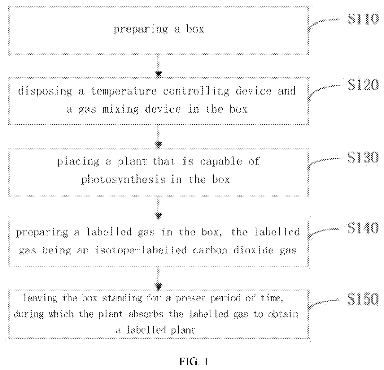 Method for preparing 13c labelled plant and method for preparing 13c labelled biochar