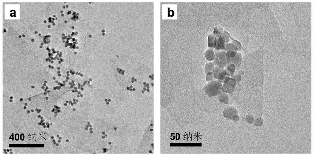 MXene nanosheet loaded rare earth luminescent nanocrystalline composite material, preparation method and application