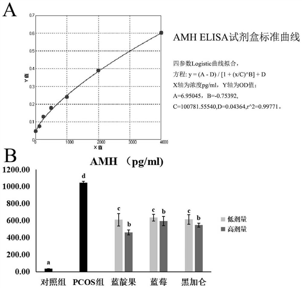 Application of lonicera caerulea anthocyanin extract in preparation of medicine and/or health care product for improving polycystic ovarian syndrome