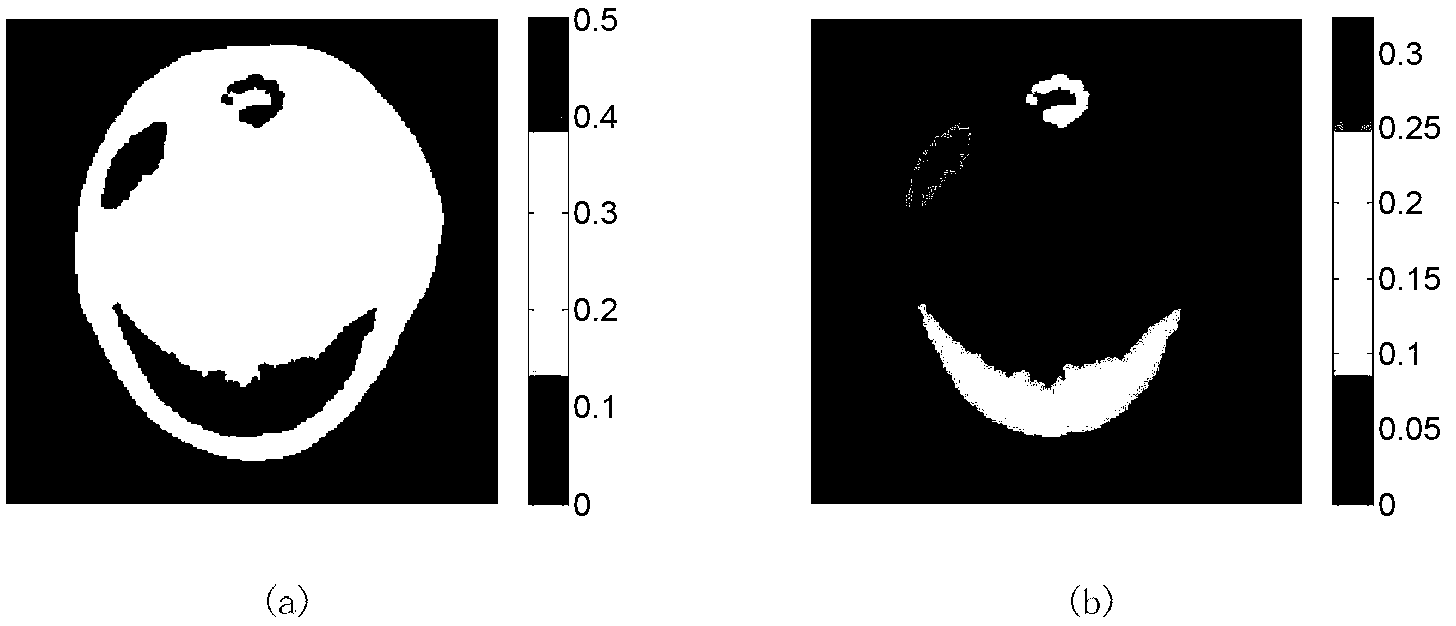 Image rebuilding algorithm of DOT/XCT (diffuse optical tomography/X-ray computer tomography) dual-mode imaging based on boundary element