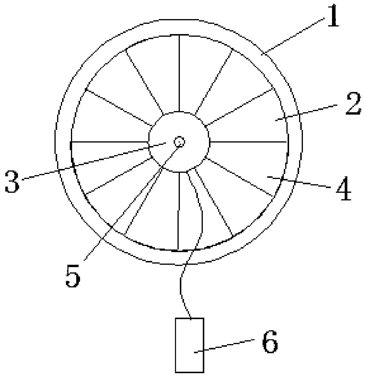 Air control system for biomass combustor