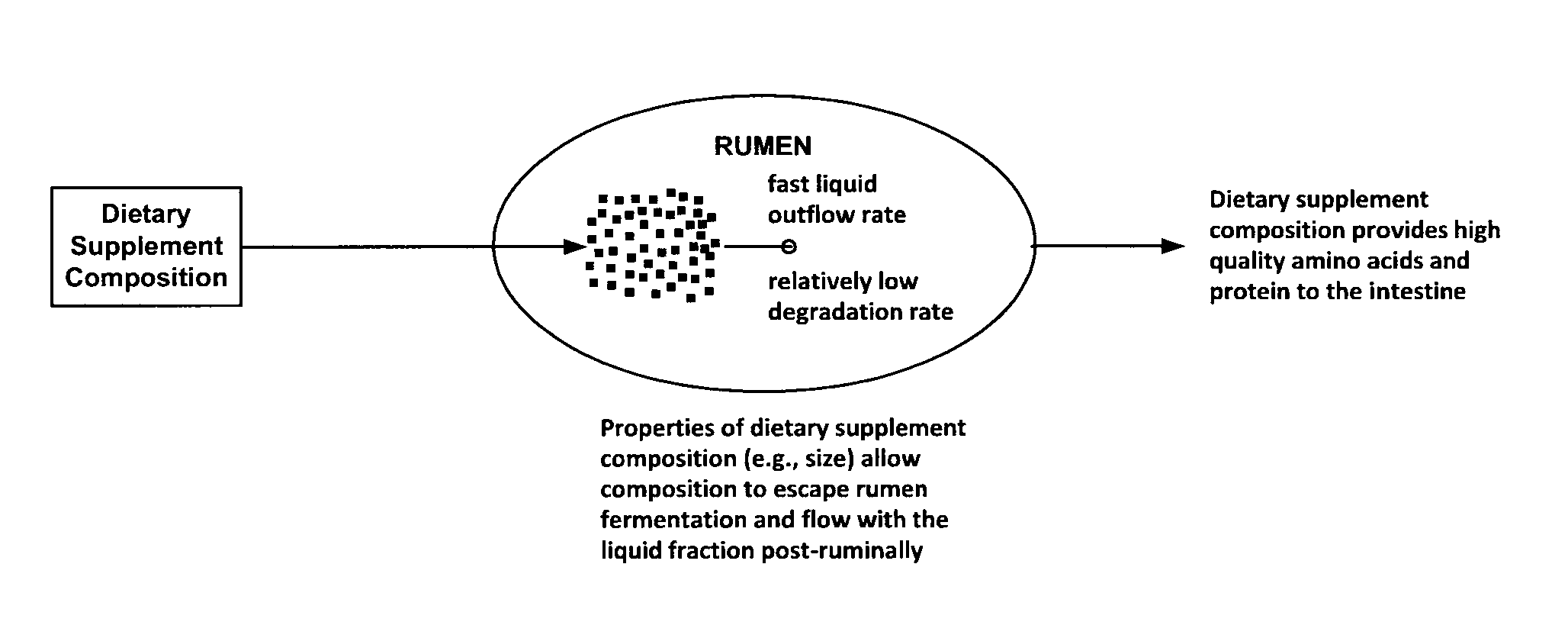 Ruminant dietary supplement compositions and methods of manufacturing and using the same