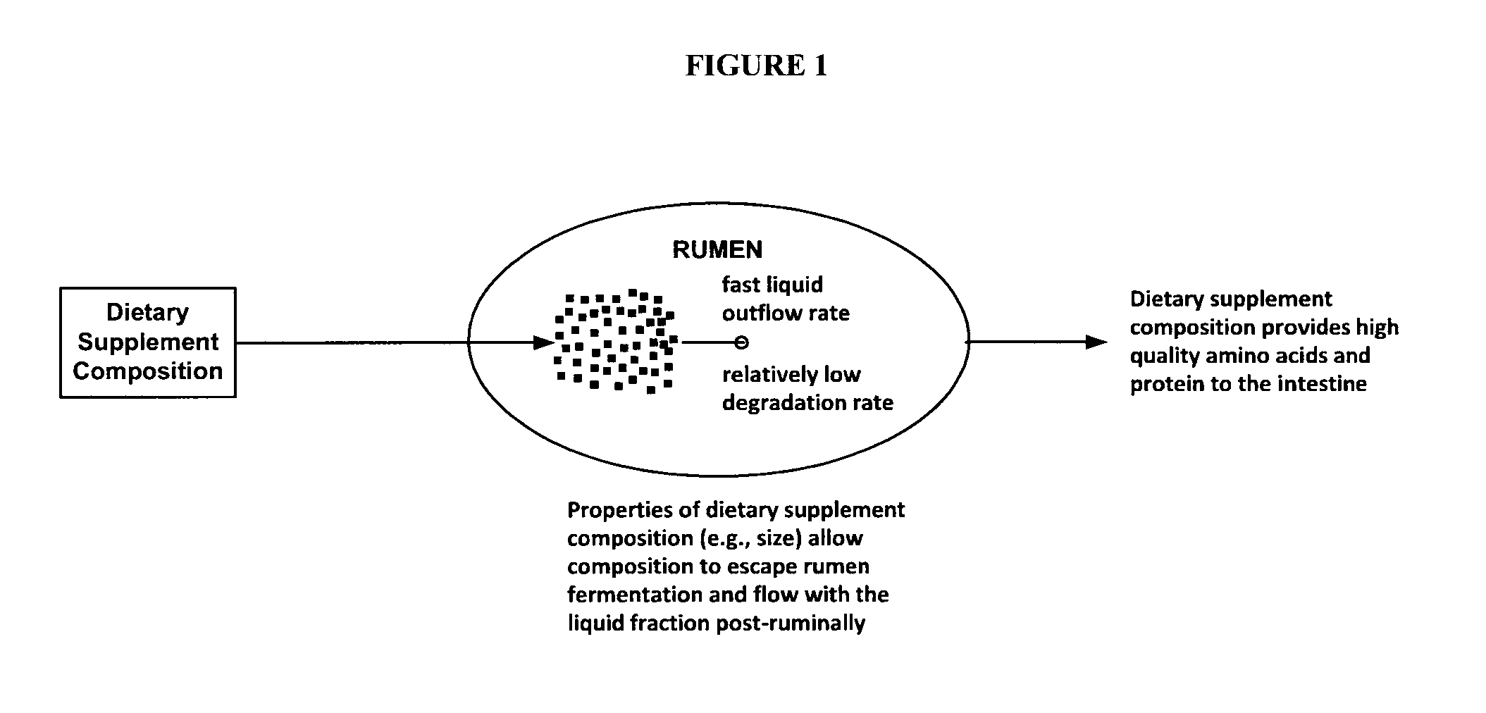 Ruminant dietary supplement compositions and methods of manufacturing and using the same