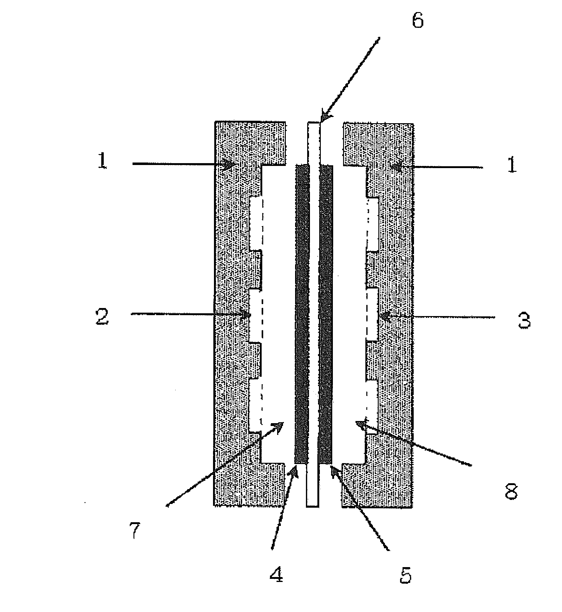 Separation membrane for fuel cell