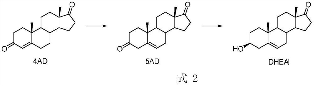A chemical-enzymatic method for preparing dehydroepiandrosterone