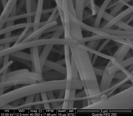 A kind of doped carbon fiber network and preparation method thereof