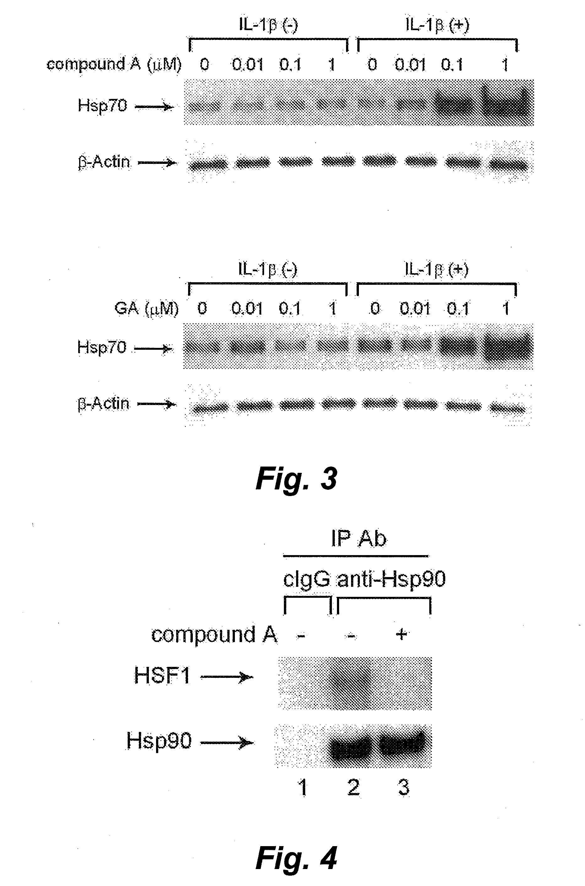 Method for screening of cell-protecting agent