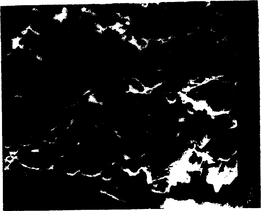 Method for preparing degradable biologically active artificial bone