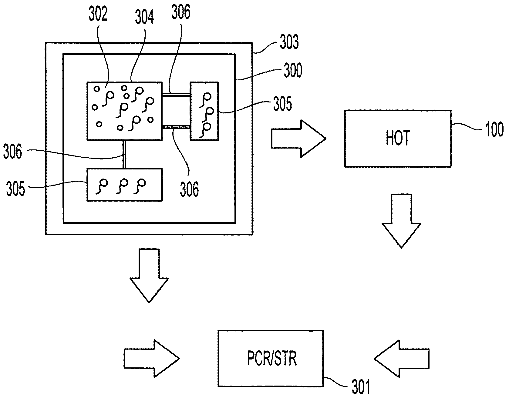 Methods and apparatuses for sorting objects in forensic DNA analysis and medical diagnostics