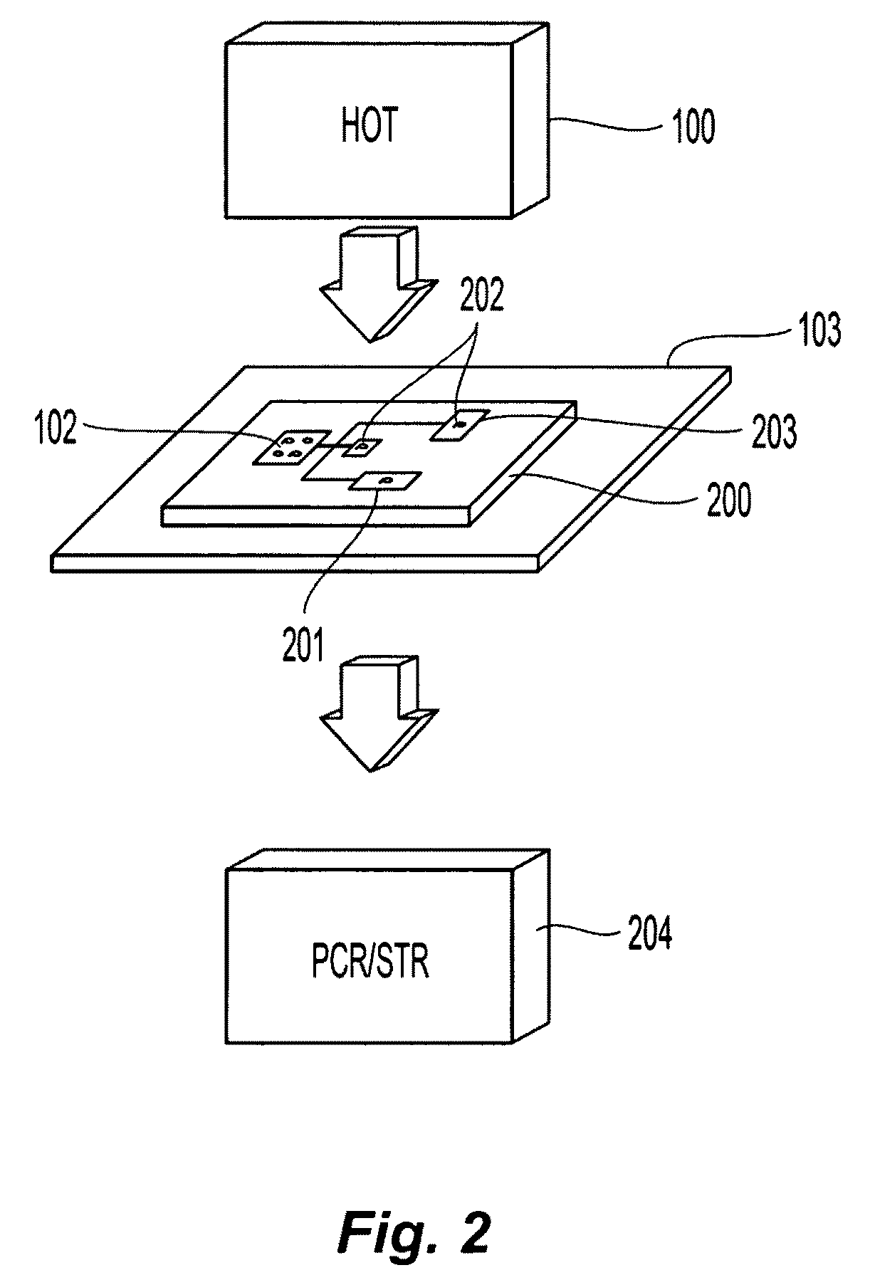 Methods and apparatuses for sorting objects in forensic DNA analysis and medical diagnostics