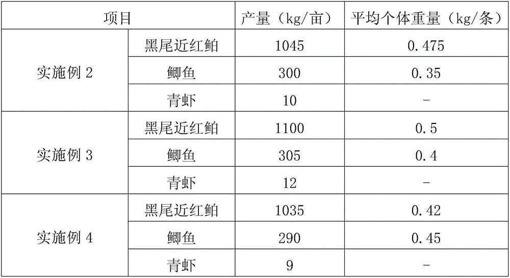 Method for breeding Ancherythroculter nigrocauda