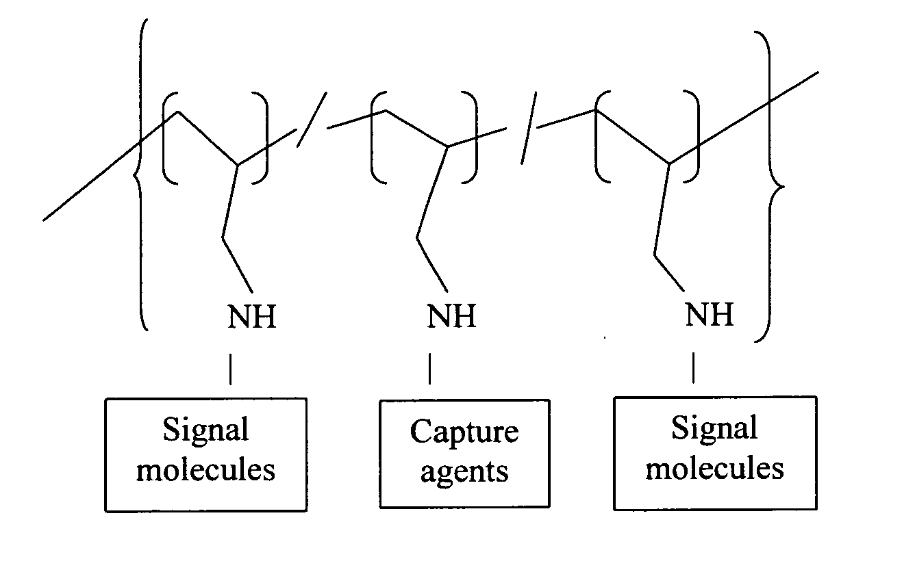 Polyallylamine conjugates and applications thereof for biological signal amplification