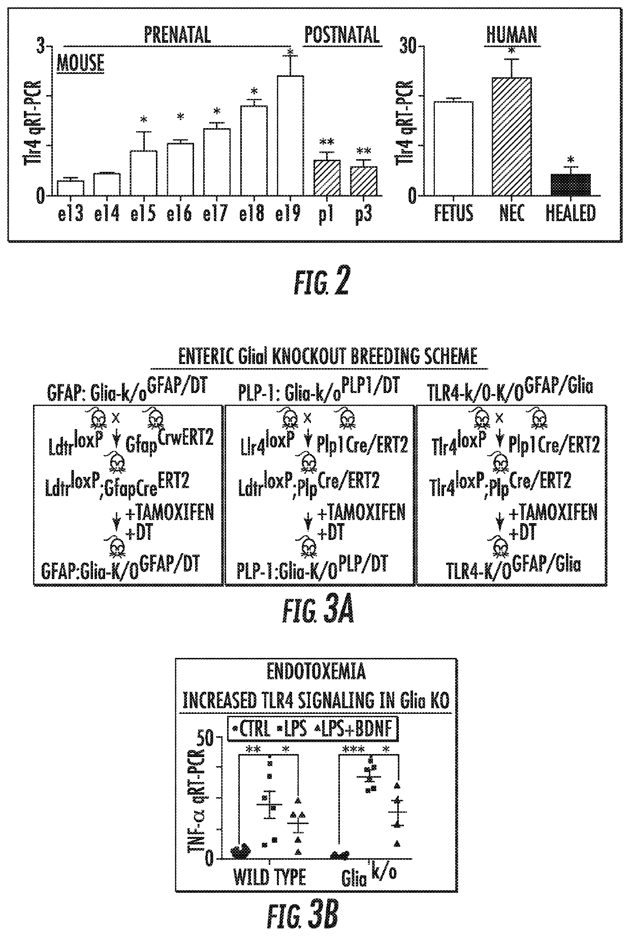 Compounds and treatments that enhance enteric nervous system function