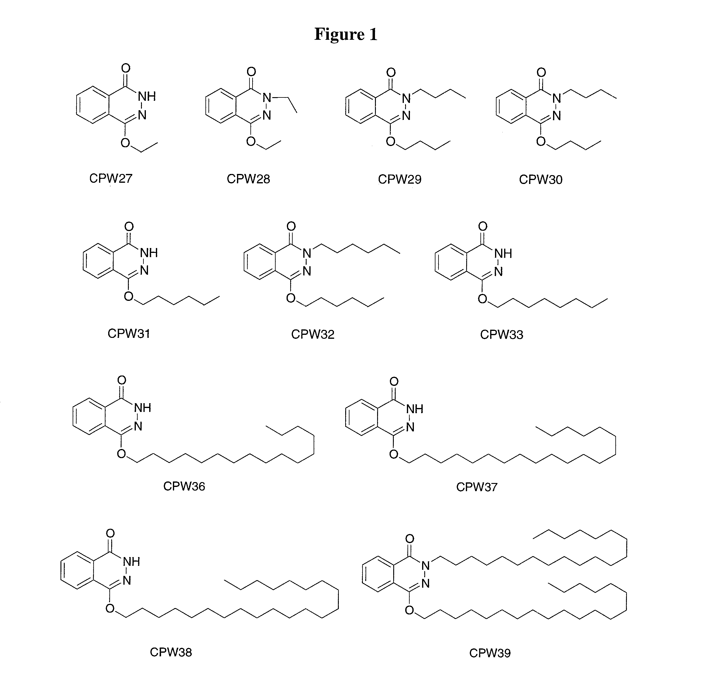 Lisofylline analogs and methods for use