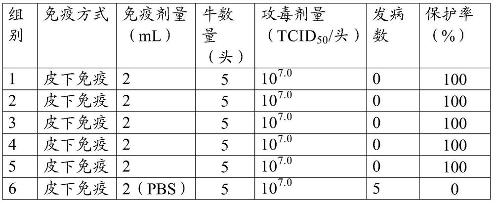 Vaccine composition and its preparation method and application