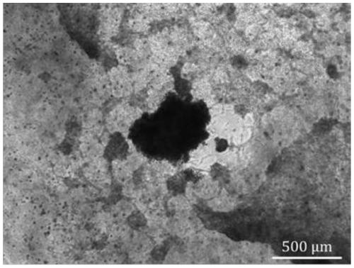 Method for constructing biological 3D printing skin microcell model containing skin appendage