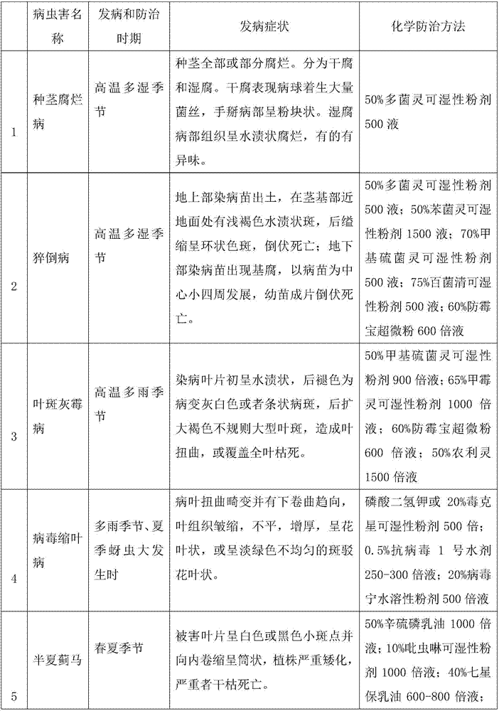 Technology for establishing Pinellia ternate three-generation seed stem breeding system