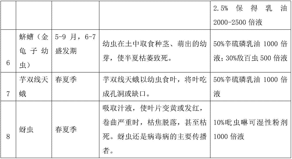 Technology for establishing Pinellia ternate three-generation seed stem breeding system